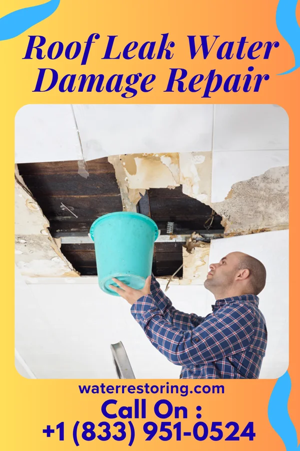 Roof Leak Water Damage Repair in El Rio, CA